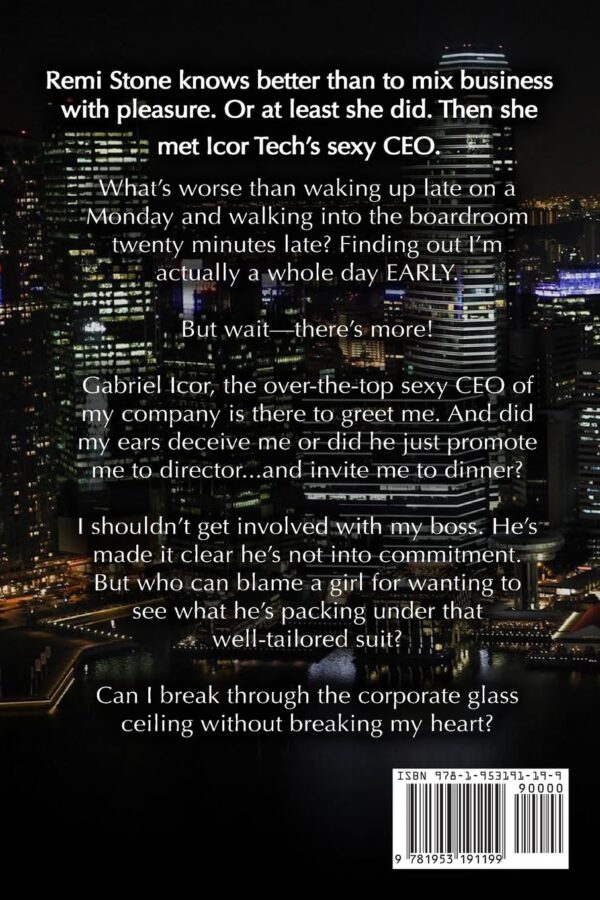 Back cover of the billionaire fixer upper. Describing a summary of the plot line.